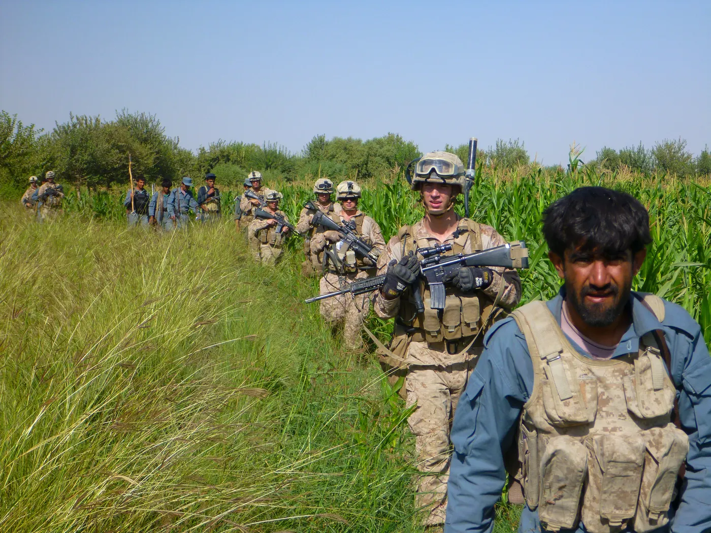 Marines and men in uniform walking through tall grass on patrol